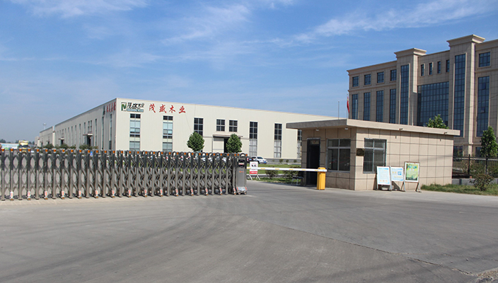 2017年4月6日 13时18分 ，山东菏泽茂盛木业有限公司首板成功下线 ，宣告该公司30万立方米连续平压均质刨花板项目正式竣工投产 。